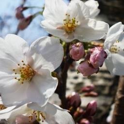 千葉県出身、横浜在住の大学生です!明るく快活、元気すぎ？な性格で、趣味はサイクリング、サーフィン、ダイビング、読書、スタバでコーヒーを飲むこと。モスバーガーでバイトしてます☆すぐ仲良くなるタイプ。よろしくお願いします!