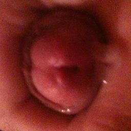 Dothack46's profile picture. likes to have naughty fun