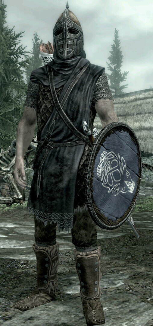 Guard from Falkreath