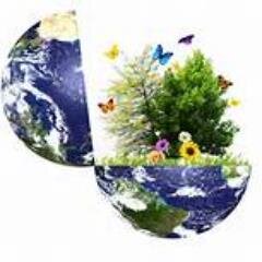 Conestoga student in The Green Management Program tweeting about CSR and ethics! here's my journey