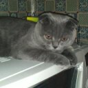 Elena - @lena2011tan - Twitter