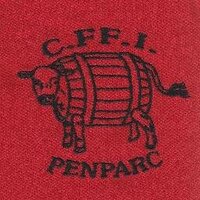 C.FF.I Penparc (@cffipenparc) 's Twitter Profile