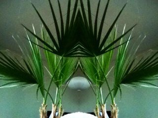 twitt_albert's profile picture. 