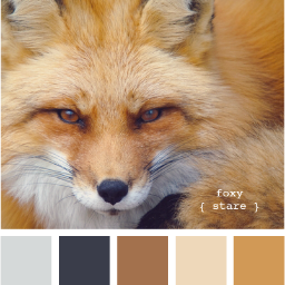 murder_fox's profile picture. Лиса-колбаса :Р