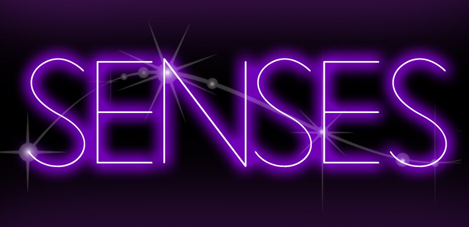 PARTYS aimed at Stimulating the 5 SENSES sight, touch, taste, smell, sound...
SENSES the Party a Stimulating Experience.......