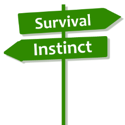 Survival Instinct is een bedrijf dat survival activiteiten organiseert in noord-nederland.