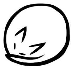 PurrVida's profile picture. California Dreamin', on such a winter's...oh, wait.  I'm in California.