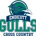 Endicott CC (@endicottcc) Twitter profile photo