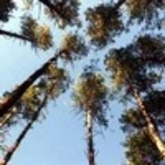 Если ты не будешь смотреть вперед, можешь оказаться позади.