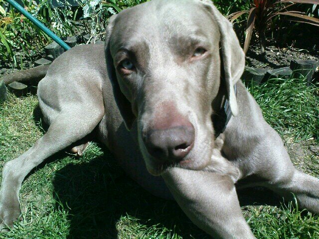 broony74's profile picture. slightly unhinged who loves a good belly ache laugh.