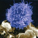 Phil Swanson - @phil_swanson_ - Twitter