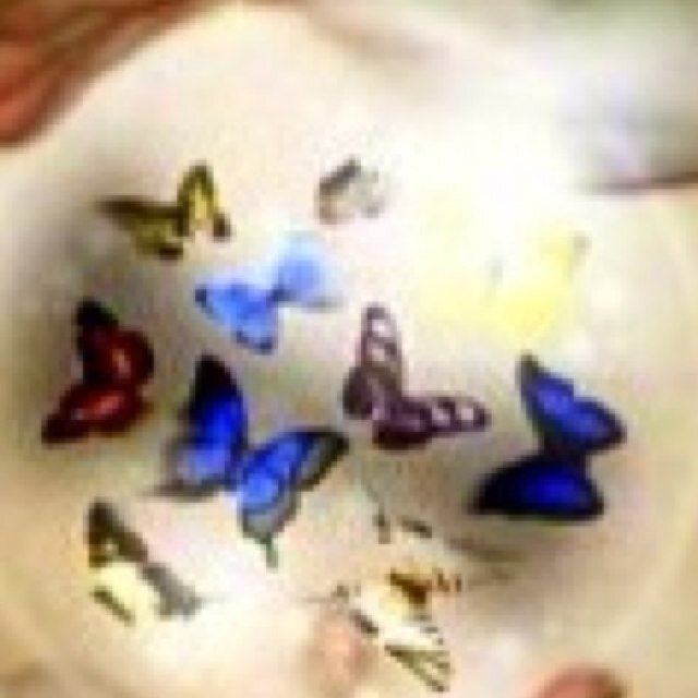 cathharmony's profile picture. Life and business coach /
Reiki master ..