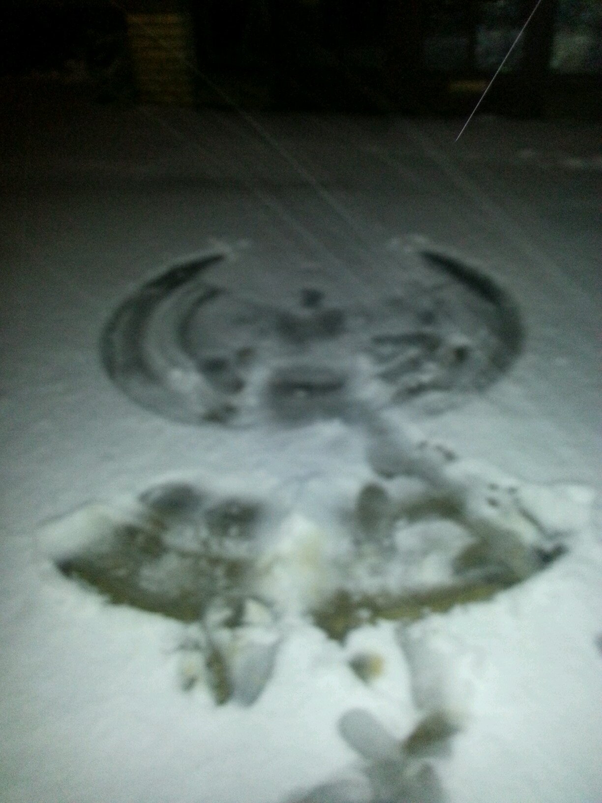 Jennifer Wylie (seaweedjenny) Twitter