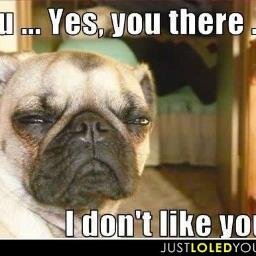 peggypig2's profile picture. 