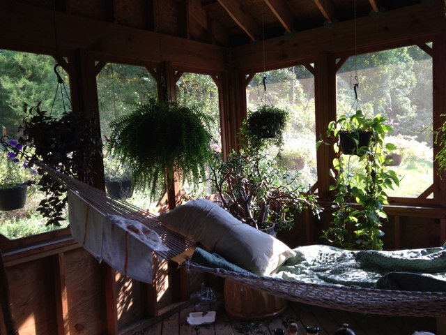 MaloneHugo's profile picture. 