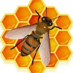 mielvital21's profile picture. Revista Digital dedicada a la investigación del mundo apícola