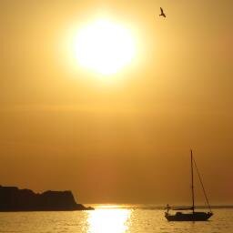 Karque98's profile picture. 