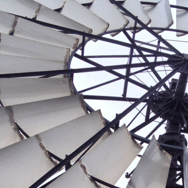 benvangoch's profile picture. 