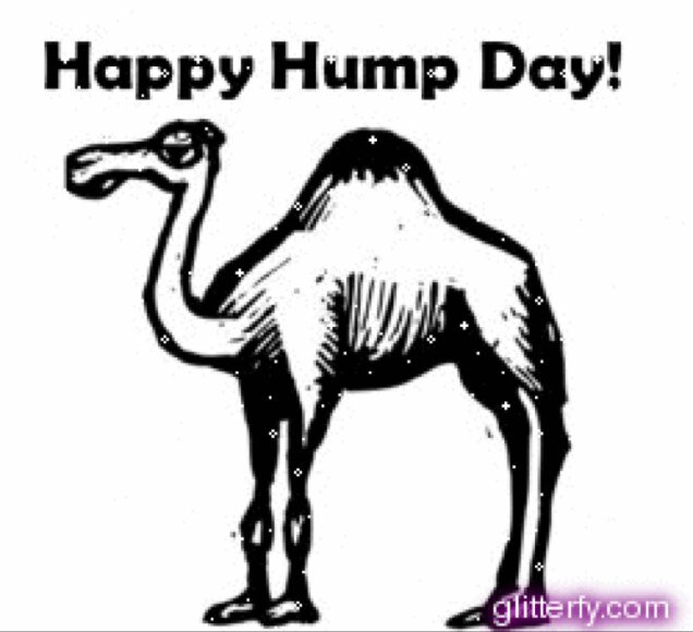 All of life's problems.. In the same day.. Must be hump day