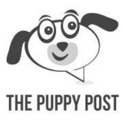 The Puppy Post is a #blog dedicated to puppy parents who are looking for information on training, grooming and health tips for their new family member.