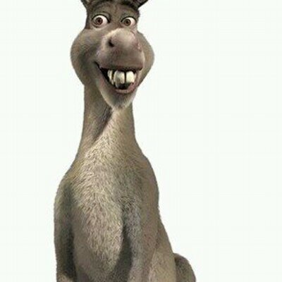 El Burro de Shrek (@ElBurrodeShrek1), Twitter