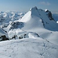 Powderist (@powderist) Twitter profile photo