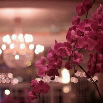 سبحانك ربي .. ♡