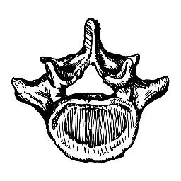 EZEKIEL37:3 || CAN THESE BONES LIVE