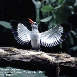 ahop305's profile picture. 