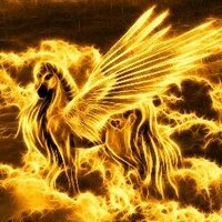Funkmata (@funkmata) 's Twitter Profile