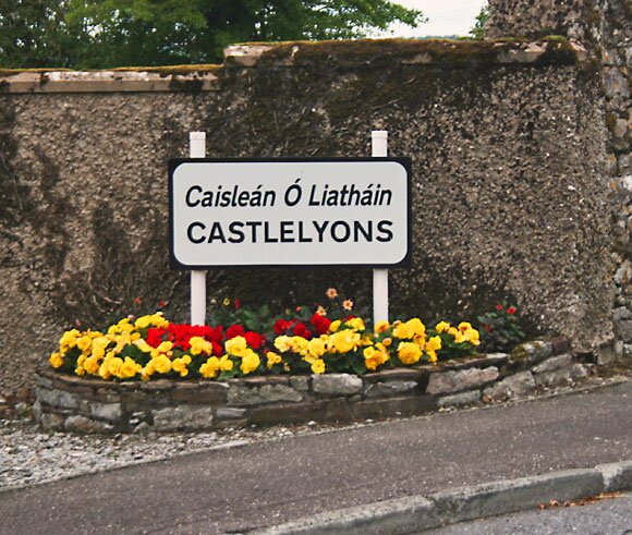 Castlelyons Parish Profile
