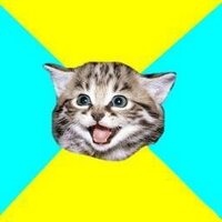Happy Cat(@HappyCatCentral) 's Twitter Profile Photo