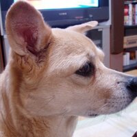 spike (@talken_spiker) 's Twitter Profile