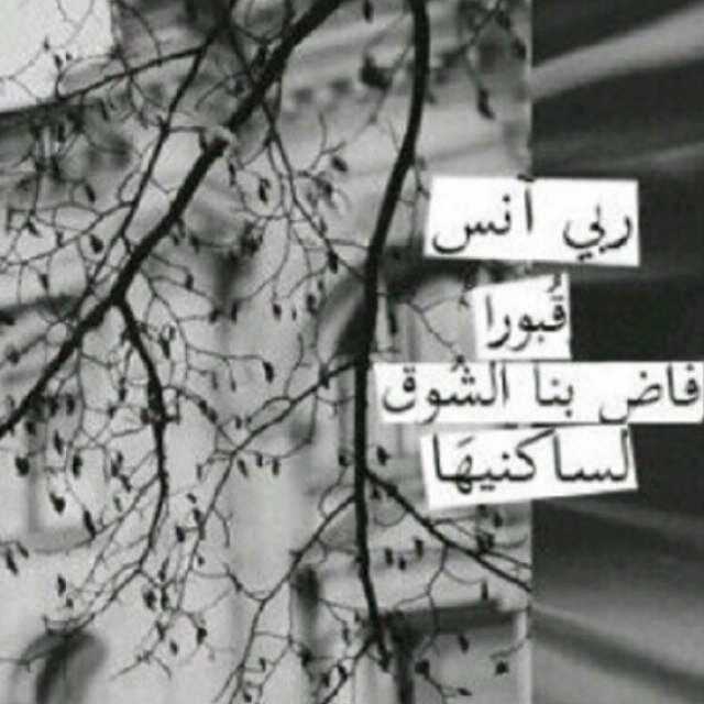 صدقه جاريه للمرحومه
-لولوه علي عبدالكريم الجربوع -  
اللهم إجعل  (لولوه ) ممن تقول لها النار اعبري فإن نورگِ قد أطفأ ناري ..