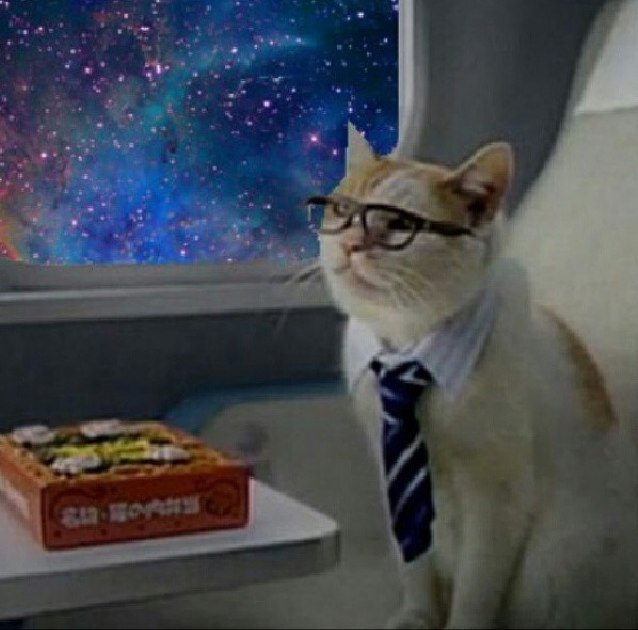 SiberianCattle's profile picture. Emancipate yourself from mental slavery