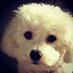Karen Ann (@hocomombo) Twitter profile photo