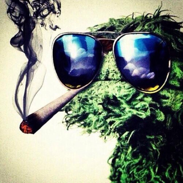 Official account of all that is marijuana. #typicalstoner #Legalizeit