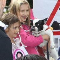 York Rise St Party (@yorkrisestreetp) Twitter profile photo