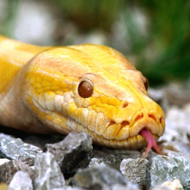 sketchboy28's profile picture. Just your average friendly COD fanboy!!!