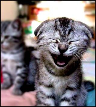 Mikymaus_'s profile picture. mi alterego