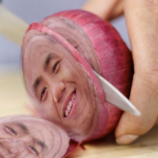 Inspirational Onion Official. Just some inspiring quotes about life, love, and onions. Ad long as you're reading this, hit that follow button! Enjoy!