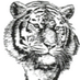 Jeff West HS (@jwhs_ks) Twitter profile photo Jeff West HS (@jwhs_ks) Twitter profile photo