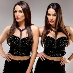 I love The Bella Twins and Drake.! 3