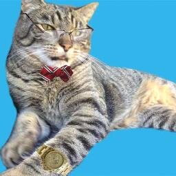 CorporateCat206's profile picture. Senior VP @ KittyBidet, Inc., North America Operations.                                   Revolutionizing the way you do your business.