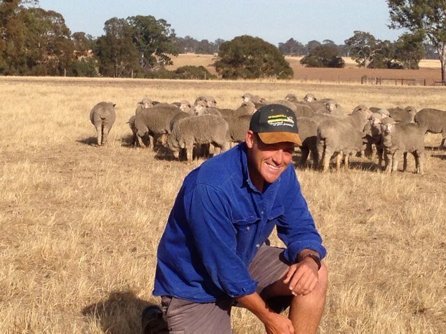 Broadacre mixed livestock/cropping @ Harrow.  Love Sheep and the future they hold.  Nuffield Scholar and Director of Sheep Producers Australia.