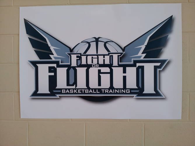 Premier Basketball Skill Development Program