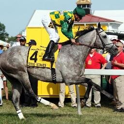 Photographer (Mostly Horse Racing!) and formally credentialed , Enjoying Everyday of My Life!