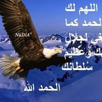 @ahmedelmahllawi (@ahmedelmahllawy) 's Twitter Profile