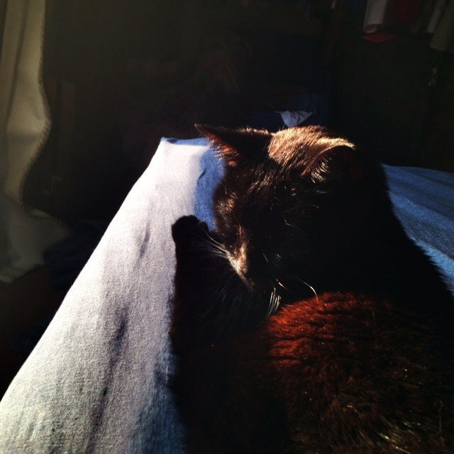 FollowRevolt's profile picture. 