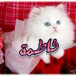 أذا أحببت شيئا فاتركه حرا .....فأن عاد لك فهو من نصيبك ...وان لم يعد فهو لم يكن لك من البداية